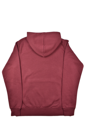 Bluza z kapturem Element Palette HD czerwona tył.png