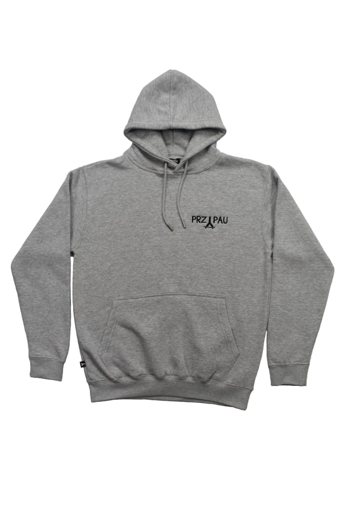 Bluza Hoodie szara front przypau.JPG